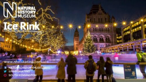 Read more about the article Natural History Museum Ice Rink